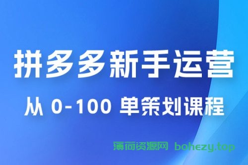 拼多多新手运营从 0-100 单策划课程，从零起步到爆单详细教程